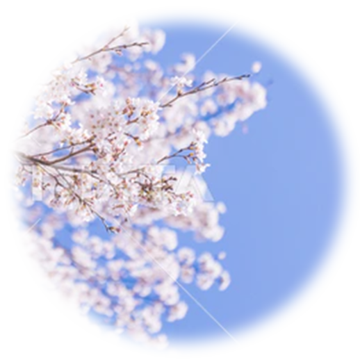 グリーフを知ることが哀しみをやわらげる一歩です