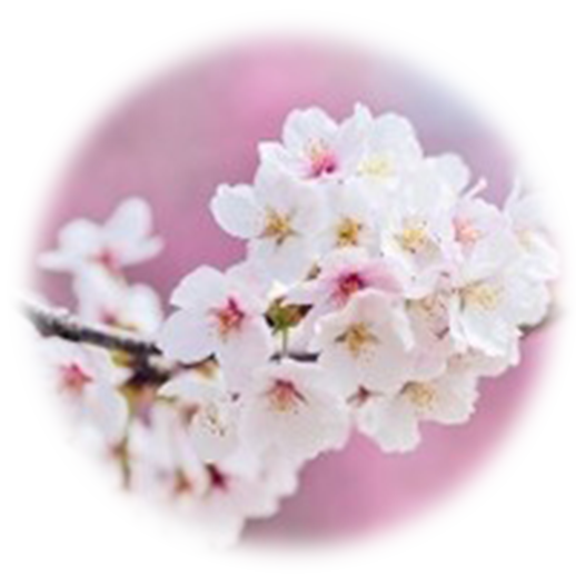 グリーフを知ることが哀しみをやわらげる一歩です